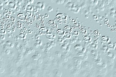 Yaratıcı model. Taş deseni. Seramik doku. Duvar kağıdı tasarımı. Vektör deseni. Satırları tekrarla.