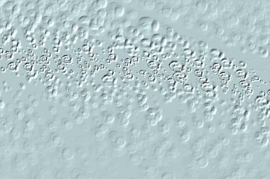 Yaratıcı model. Taş deseni. Seramik doku. Duvar kağıdı tasarımı. Vektör deseni. Satırları tekrarla.