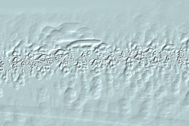 Yaratıcı model. Taş deseni. Seramik doku. Duvar kağıdı tasarımı. Vektör deseni. Satırları tekrarla.