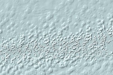 Yaratıcı model. Taş deseni. Seramik doku. Duvar kağıdı tasarımı. Vektör deseni. Satırları tekrarla.