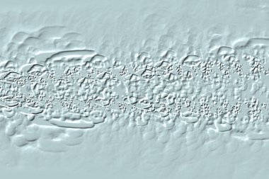 Yaratıcı model. Taş deseni. Seramik doku. Duvar kağıdı tasarımı. Vektör deseni. Satırları tekrarla.