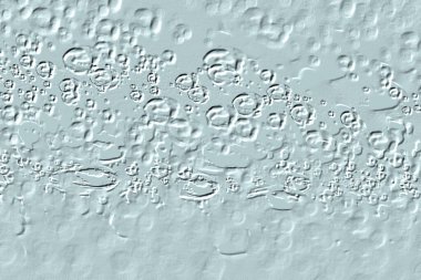 Yaratıcı model. Taş deseni. Seramik doku. Duvar kağıdı tasarımı. Vektör deseni. Satırları tekrarla.