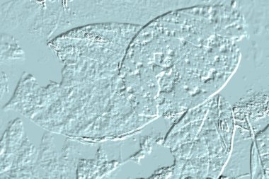 Yaratıcı model. Taş deseni. Seramik doku. Duvar kağıdı tasarımı. Vektör deseni. Satırları tekrarla.