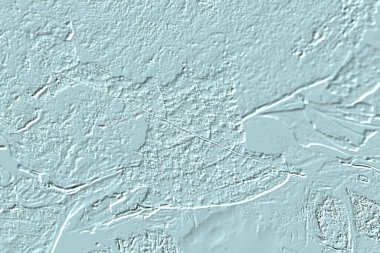 Yaratıcı model. Taş deseni. Seramik doku. Duvar kağıdı tasarımı. Vektör deseni. Satırları tekrarla.