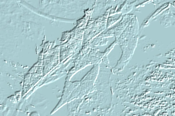 Yaratıcı model. Taş deseni. Seramik doku. Duvar kağıdı tasarımı. Vektör deseni. Satırları tekrarla.