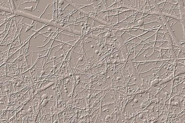 Yaratıcı model. Taş deseni. Seramik doku. Duvar kağıdı tasarımı. Vektör deseni. Satırları tekrarla.