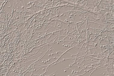 Yaratıcı model. Taş deseni. Seramik doku. Duvar kağıdı tasarımı. Vektör deseni. Satırları tekrarla.