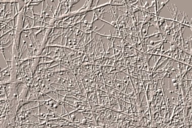 Yaratıcı model. Taş deseni. Seramik doku. Duvar kağıdı tasarımı. Vektör deseni. Satırları tekrarla.