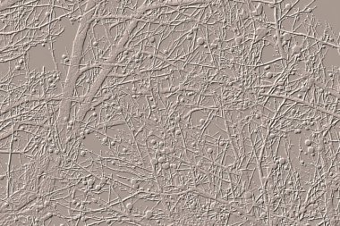 Yaratıcı model. Taş deseni. Seramik doku. Duvar kağıdı tasarımı. Vektör deseni. Satırları tekrarla.