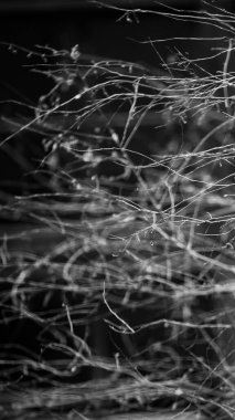 Yaprakları ve çiçek çizgileri olan zarif, pürüzsüz bir desen. Çiçek deseni. Soyut arkaplan.