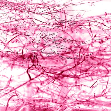 Yaprakları ve çiçek çizgileri olan zarif, pürüzsüz bir desen. Çiçek deseni. Soyut arkaplan.