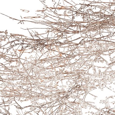 Yaprakları ve çiçek çizgileri olan zarif, pürüzsüz bir desen. Çiçek deseni. Soyut arkaplan.