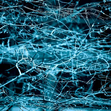 Yaprakları ve çiçek çizgileri olan zarif, pürüzsüz bir desen. Çiçek deseni. Soyut arkaplan.