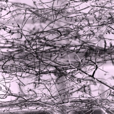 Yaprakları ve çiçek çizgileri olan zarif, pürüzsüz bir desen. Çiçek deseni. Soyut arkaplan.