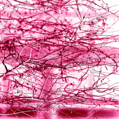 Yaprakları ve çiçek çizgileri olan zarif, pürüzsüz bir desen. Çiçek deseni. Soyut arkaplan.