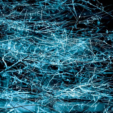 Yaprakları ve çiçek çizgileri olan zarif, pürüzsüz bir desen. Çiçek deseni. Soyut arkaplan.