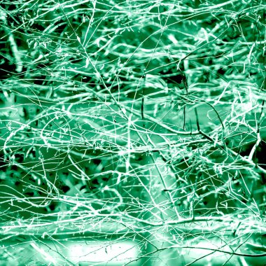 Yaprakları ve çiçek çizgileri olan zarif, pürüzsüz bir desen. Çiçek deseni. Soyut arkaplan.