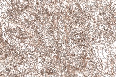 Yaprakları ve çiçek çizgileri olan zarif, pürüzsüz bir desen. Çiçek deseni. Soyut arkaplan.