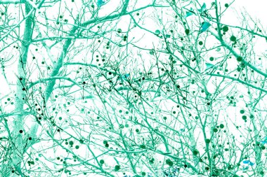 Yaprakları ve çiçek çizgileri olan zarif, pürüzsüz bir desen. Çiçek deseni. Soyut arkaplan.