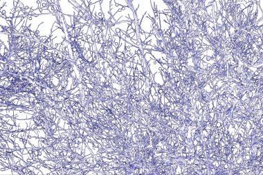 Yaprakları ve çiçek çizgileri olan zarif, pürüzsüz bir desen. Çiçek deseni. Soyut arkaplan.