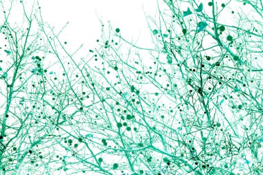 Yaprakları ve çiçek çizgileri olan zarif, pürüzsüz bir desen. Çiçek deseni. Soyut arkaplan.