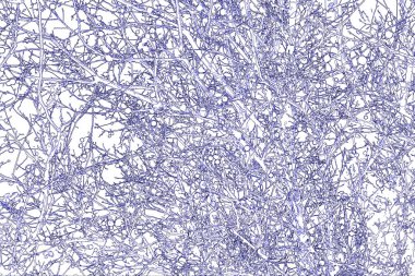 Yaprakları ve çiçek çizgileri olan zarif, pürüzsüz bir desen. Çiçek deseni. Soyut arkaplan.