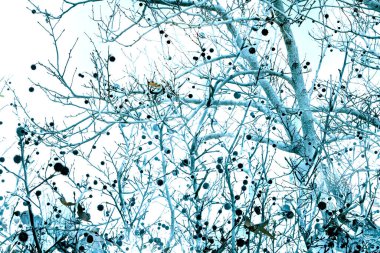 Yaprakları ve çiçek çizgileri olan zarif, pürüzsüz bir desen. Çiçek deseni. Soyut arkaplan.