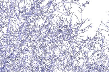 Yaprakları ve çiçek çizgileri olan zarif, pürüzsüz bir desen. Çiçek deseni. Soyut arkaplan.