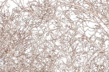 Yaprakları ve çiçek çizgileri olan zarif, pürüzsüz bir desen. Çiçek deseni. Soyut arkaplan.