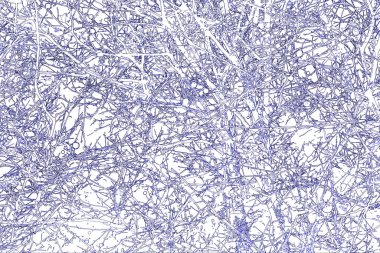 Yaprakları ve çiçek çizgileri olan zarif, pürüzsüz bir desen. Çiçek deseni. Soyut arkaplan.