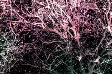 Yaprakları ve çiçek çizgileri olan zarif, pürüzsüz bir desen. Çiçek deseni. Soyut arkaplan.