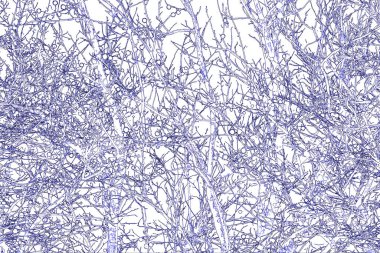 Yaprakları ve çiçek çizgileri olan zarif, pürüzsüz bir desen. Çiçek deseni. Soyut arkaplan.