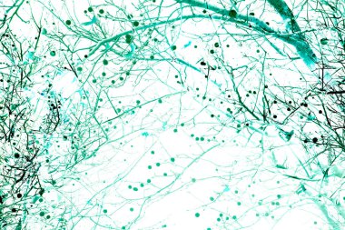 Yaprakları ve çiçek çizgileri olan zarif, pürüzsüz bir desen. Çiçek deseni. Soyut arkaplan.