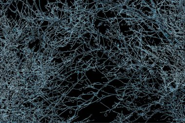 Yaprakları ve çiçek çizgileri olan zarif, pürüzsüz bir desen. Çiçek deseni. Soyut arkaplan.