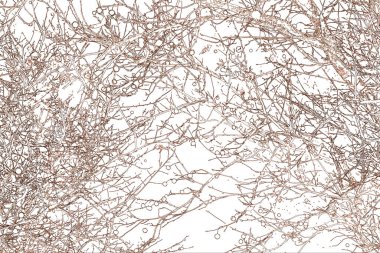 Yaprakları ve çiçek çizgileri olan zarif, pürüzsüz bir desen. Çiçek deseni. Soyut arkaplan.