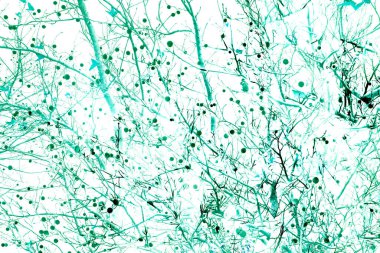 Yaprakları ve çiçek çizgileri olan zarif, pürüzsüz bir desen. Çiçek deseni. Soyut arkaplan.