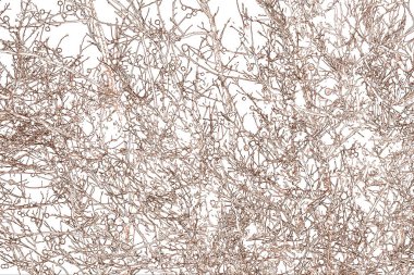 Yaprakları ve çiçek çizgileri olan zarif, pürüzsüz bir desen. Çiçek deseni. Soyut arkaplan.