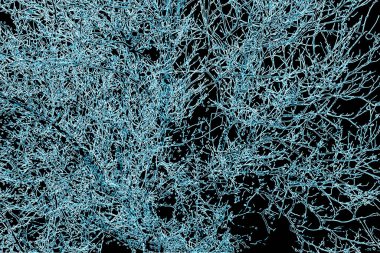 Yaprakları ve çiçek çizgileri olan zarif, pürüzsüz bir desen. Çiçek deseni. Soyut arkaplan.