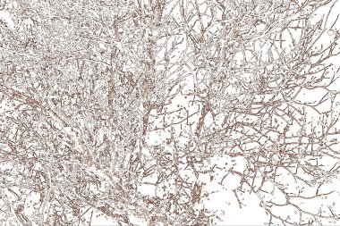 Yaprakları ve çiçek çizgileri olan zarif, pürüzsüz bir desen. Çiçek deseni. Soyut arkaplan.