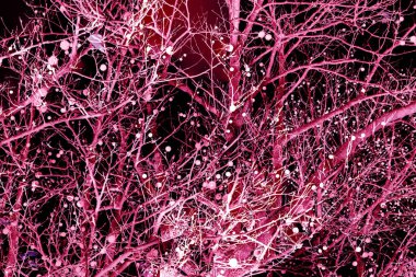 Yaprakları ve çiçek çizgileri olan zarif, pürüzsüz bir desen. Çiçek deseni. Soyut arkaplan.