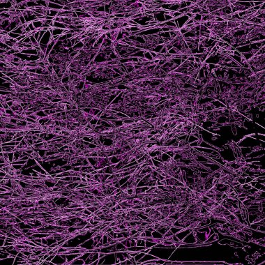 Yaprakları ve çiçek çizgileri olan zarif, pürüzsüz bir desen. Çiçek deseni. Soyut arkaplan.