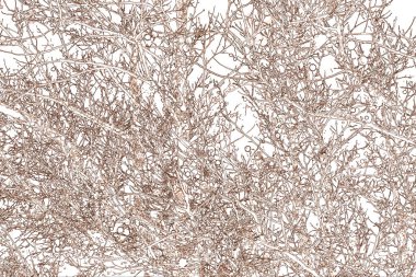 Yaprakları ve çiçek çizgileri olan zarif, pürüzsüz bir desen. Çiçek deseni. Soyut arkaplan.