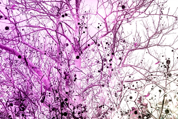 Елегантний Безшовний Візерунок Листям Квітковими Лініями Квітковий Візерунок Абстрактний Фон — стокове фото