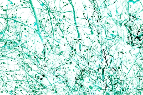 Yaprakları ve çiçek çizgileri olan zarif, pürüzsüz bir desen. Çiçek deseni. Soyut arkaplan.