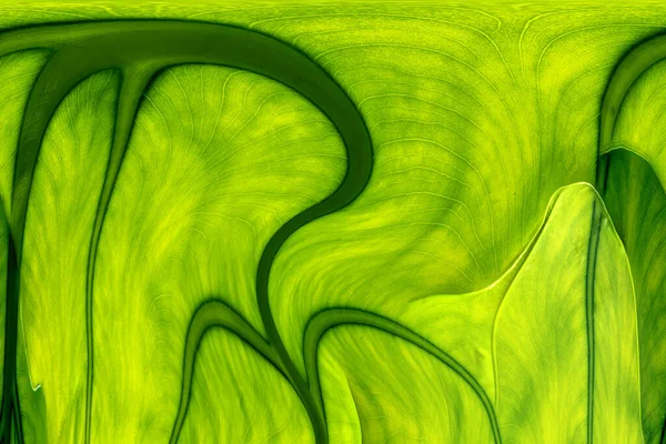 Yaprakları ve çiçek çizgileri olan zarif, pürüzsüz bir desen. Çiçek deseni. Soyut arkaplan.