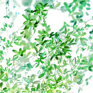 Kusursuz vektör deseni, tebrik kartları için özet sanat, kozmetik ambalaj tasarımı, düğün davetiyeleri, duvar kağıtları için güzellik.