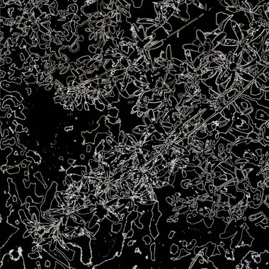 Doğada güzel bitkiler var. Soyut sanat. Arkaplan deseni.