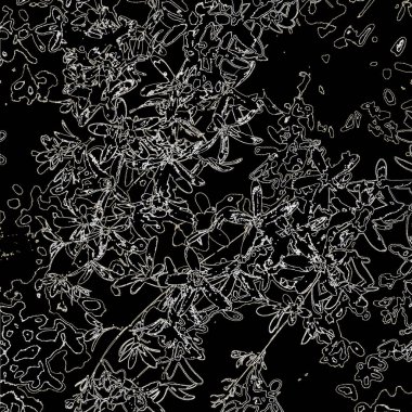 Doğada güzel bitkiler var. Soyut sanat. Arkaplan deseni.