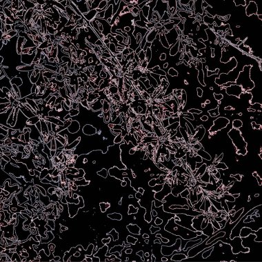 Doğada güzel bitkiler var. Soyut sanat. Arkaplan deseni.