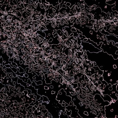 Doğada güzel bitkiler var. Soyut sanat. Arkaplan deseni.